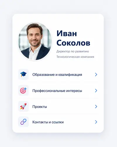 Пример профессионального профиля Intapni